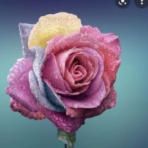 Meet your Posher, Jada